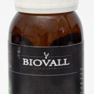 Huile de Lentisque - 60 ML