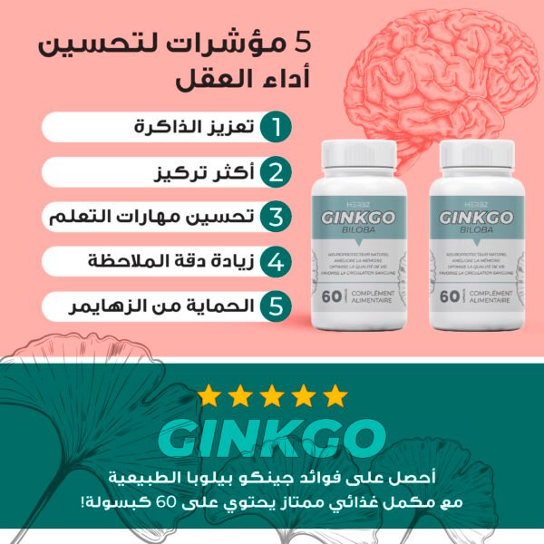 GINKGO BILOBA تحسين وظائف الدماغ وتعزيز الذاكرة – Image 2