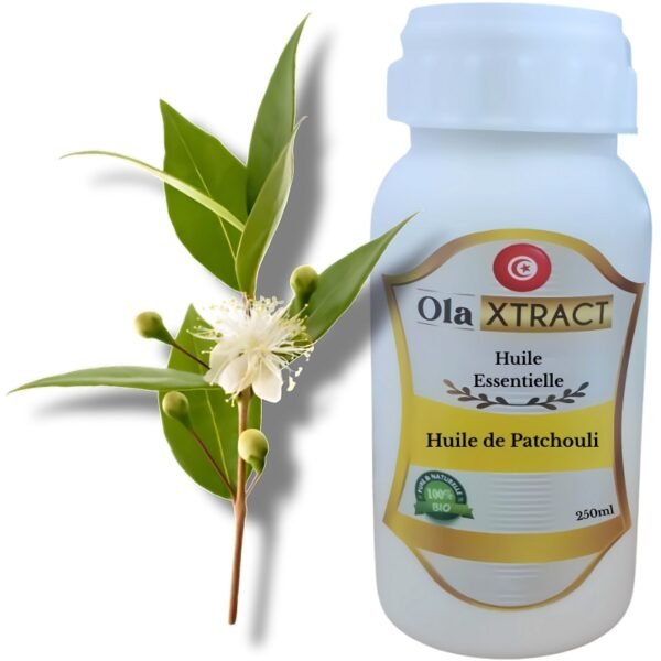 Huile de Patchouli authentique pure250 ML حجم إقتصادي    (زيت الريحان التونسي الأصلي) – Image 2